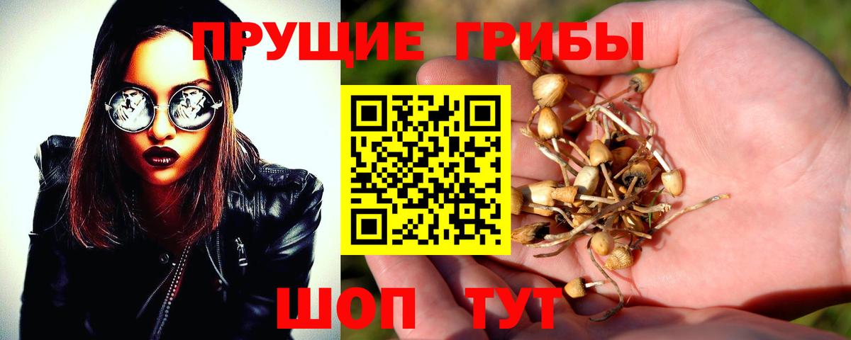 Галлюциногенные грибы Magic Shrooms Берёзовский