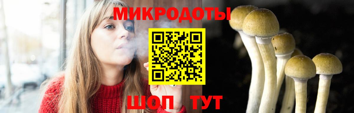 Галлюциногенные грибы мицелий  Вход с VPN  Берёзовский  Галлюциногенные грибы Psilocybe 