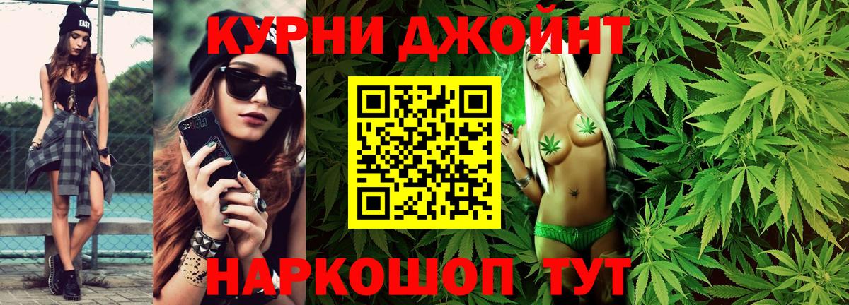 Каннабис конопля Берёзовский